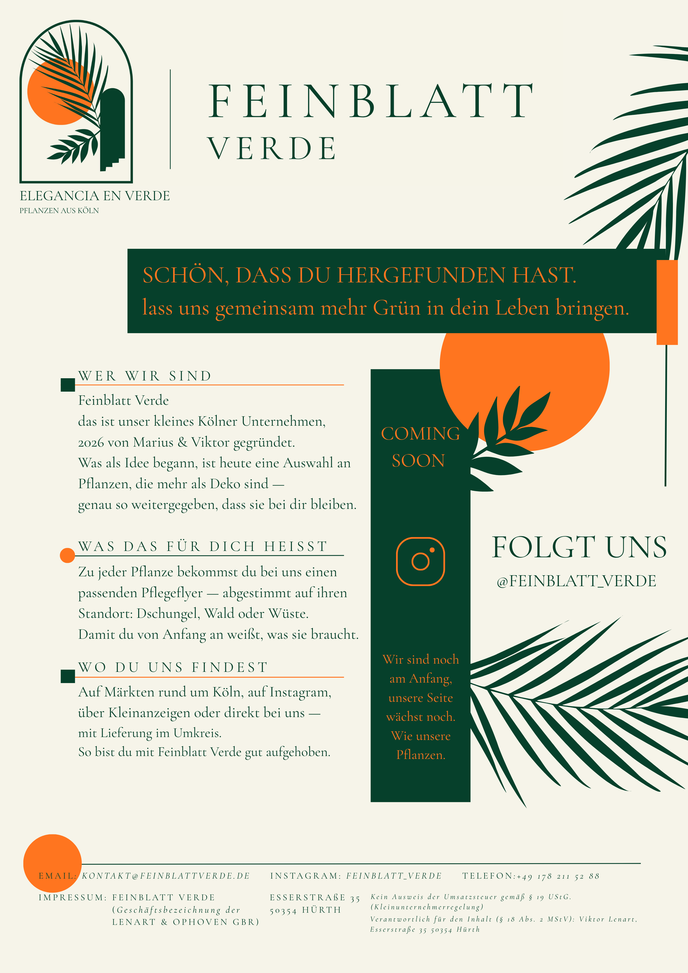 Feinblatt Verde — Pflanzen aus Köln. Zu jeder Pflanze gehört ein passender Pflegeflyer. Zu finden auf Märkten rund um Köln, über Kleinanzeigen oder direkt, mit Lieferung im Umkreis.