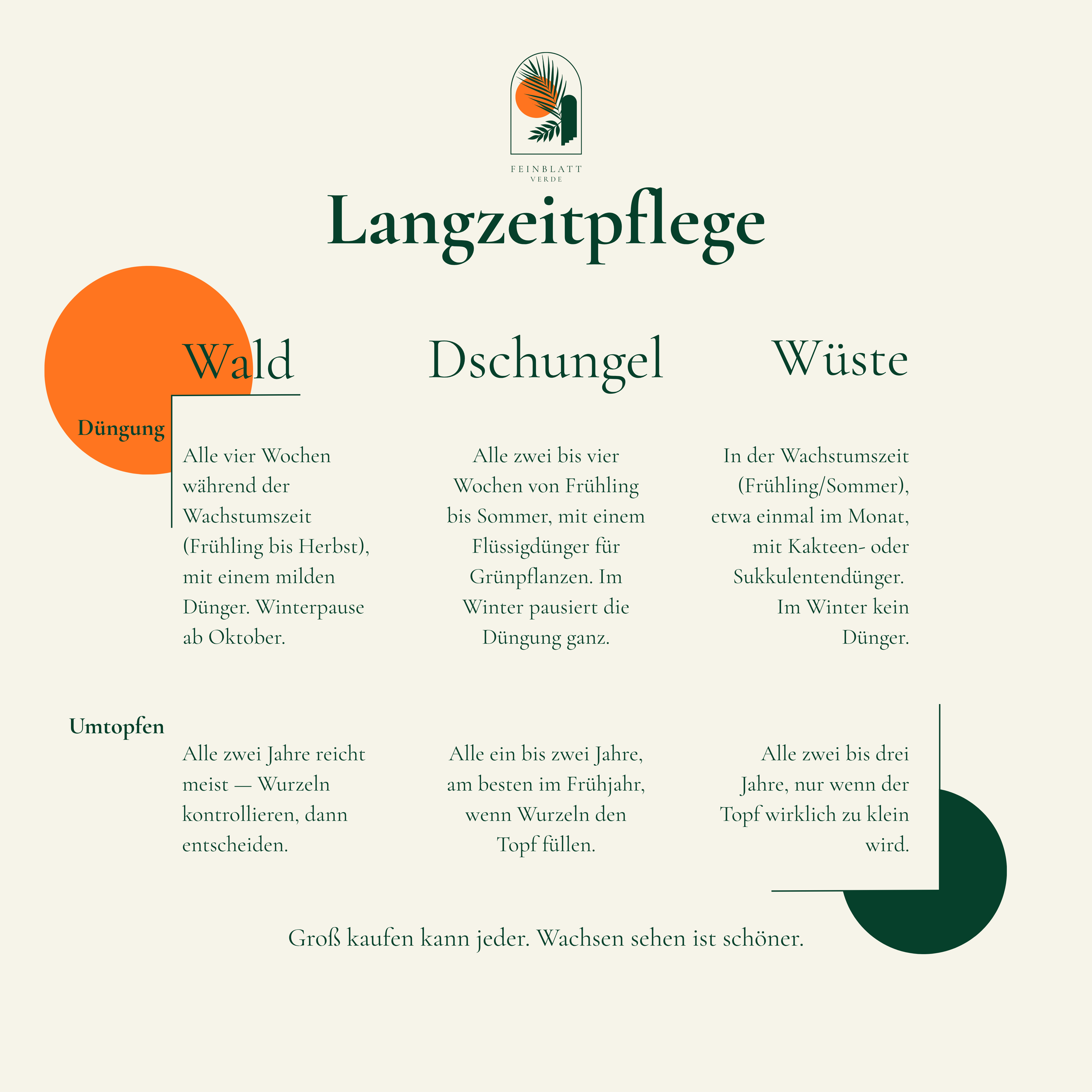 Langzeitpflege Wüste: Düngen und Umtopfen im Überblick.