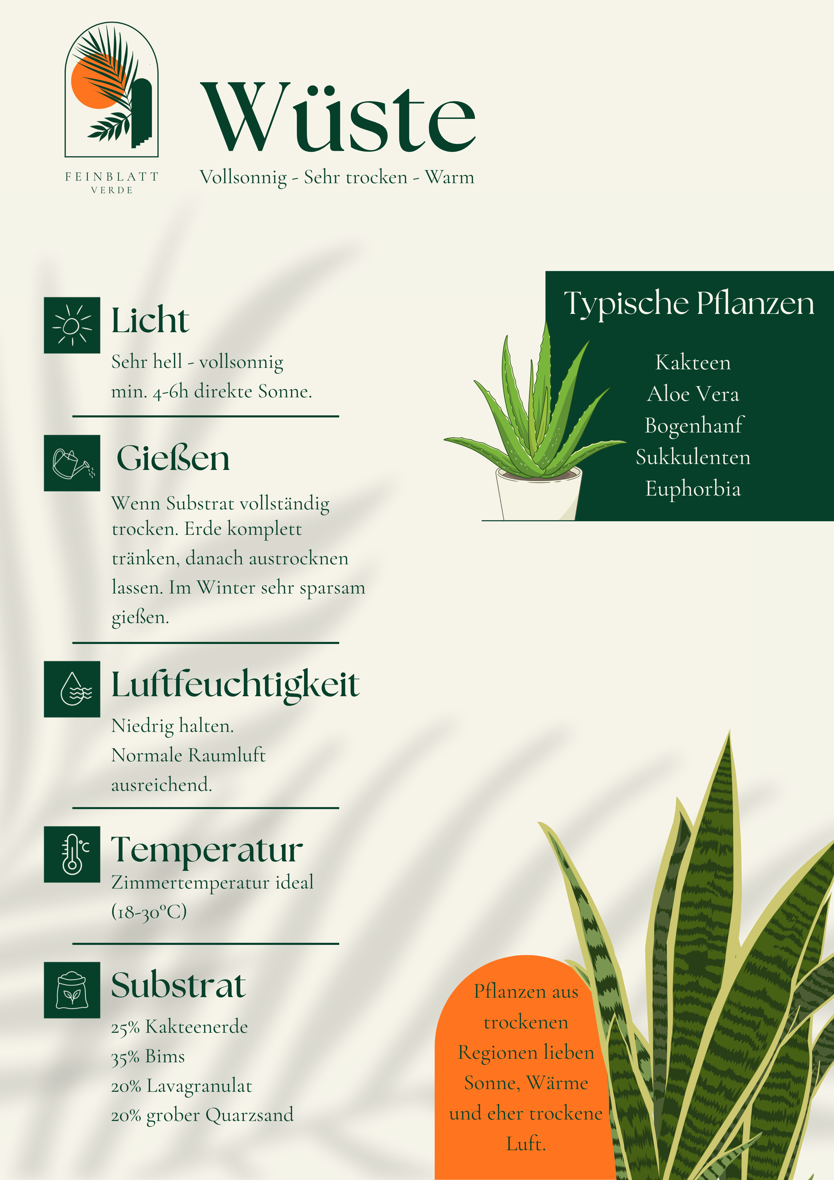 Pflegeanleitung Wüste. Hell · Trocken · Viel Sonne. Pflanzen aus trockenen Regionen lieben Sonne, Wärme und eher trockene Luft.
